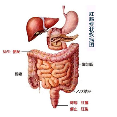 肠道通用1.jpg